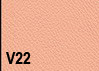V22